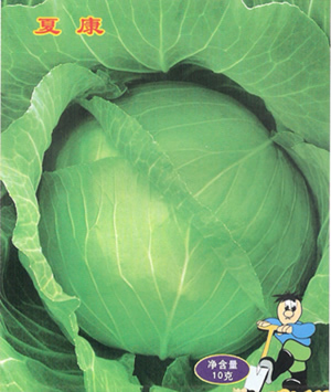 �Ŀ�