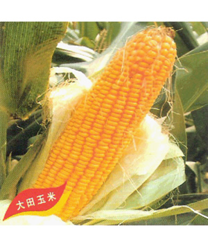 ���98